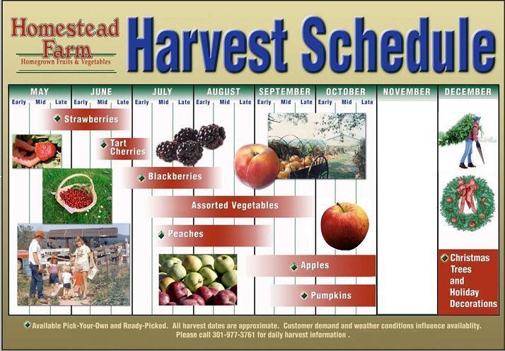 Harvest Schedule Image